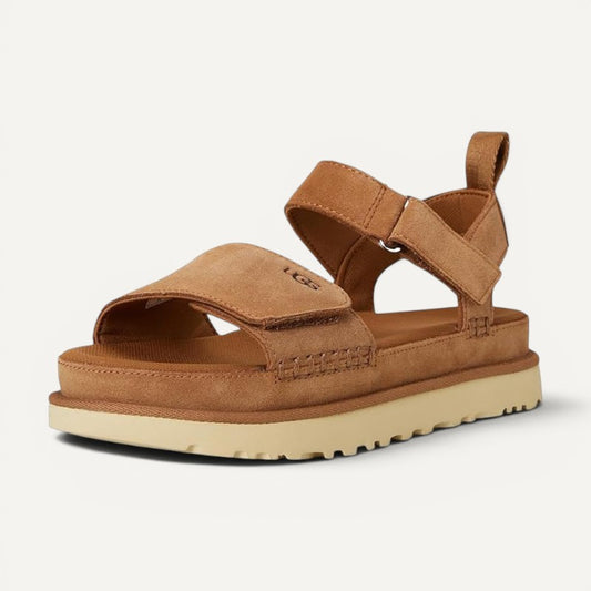 Goldenstar Chestnut Suede