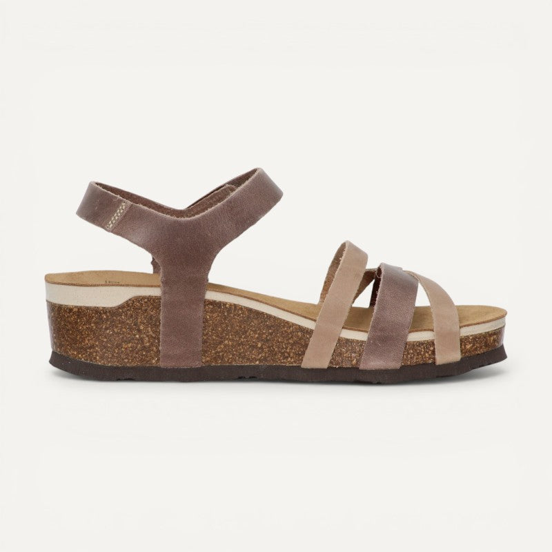 2410 Beige/Fango Multi