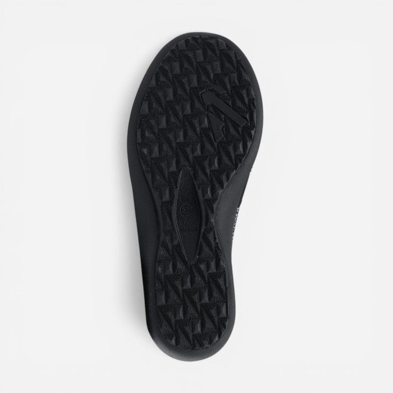 ACADIA BLACK SEASHELL