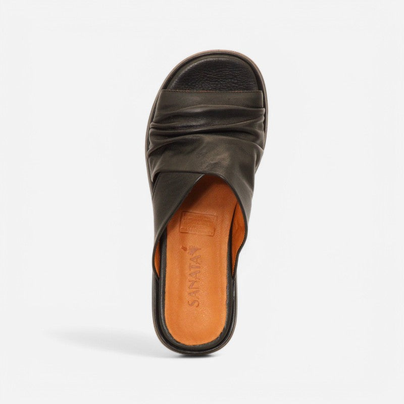 Arden Black