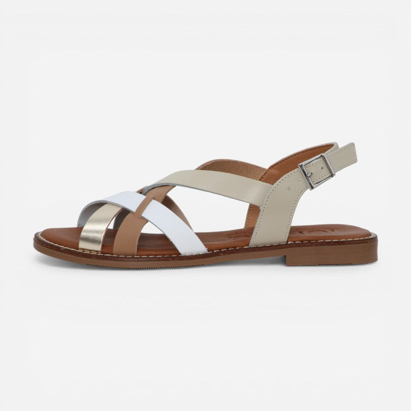 Nova Camel Multi