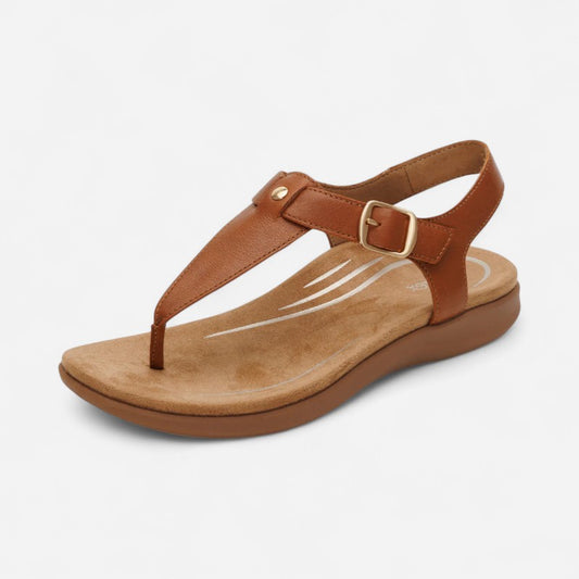 Tracey Cognac