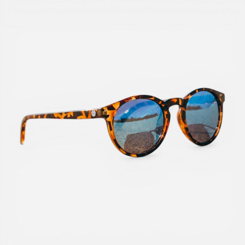 Dipsea Tortoise Aqua