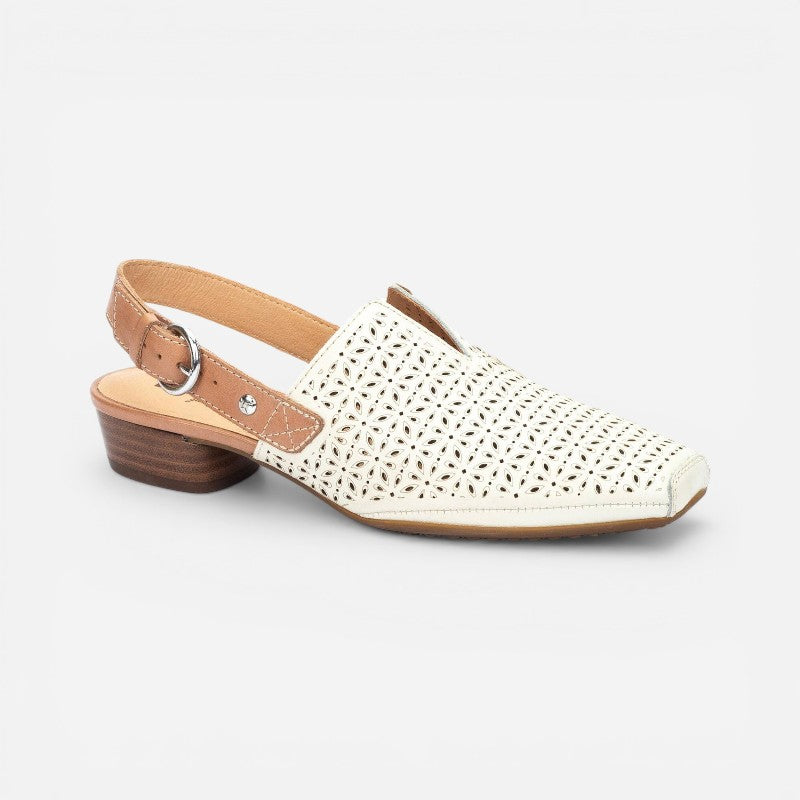 Alameda W1n-5955C1 Nata
