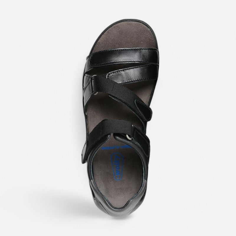 Desh Savana Black