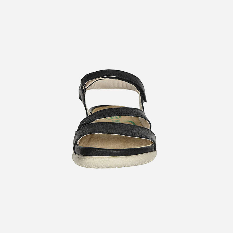 Etera Madras