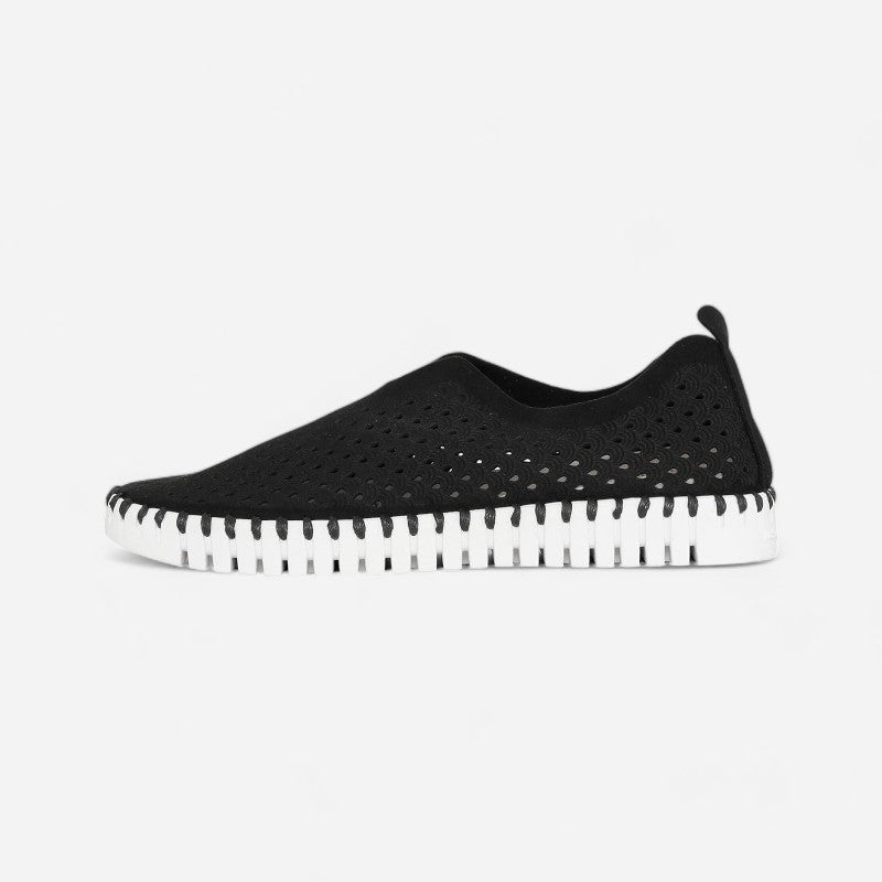 Tulip 139 Black