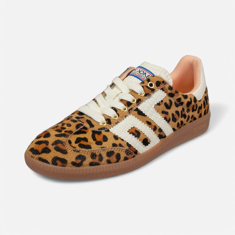 Cloud Leopard