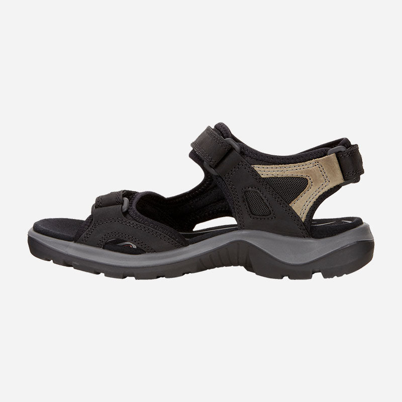 Yucatan Black